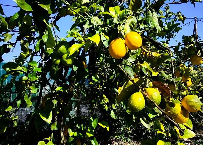 Anesis Terra Luxury * Kos-Stadt